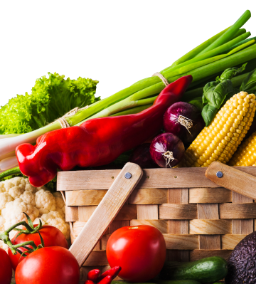 Изображение формы