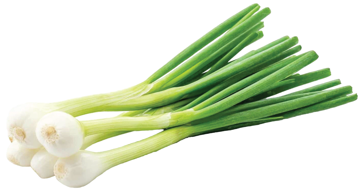 Лук зеленый