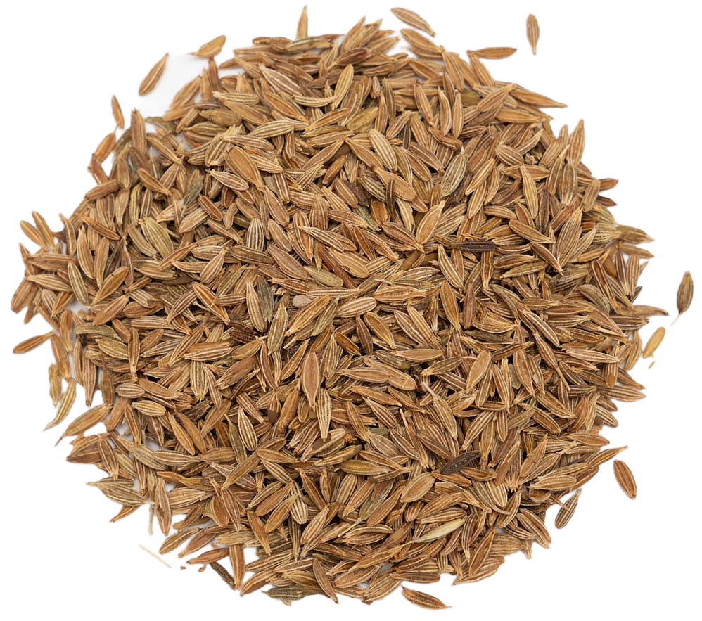 Анис семя