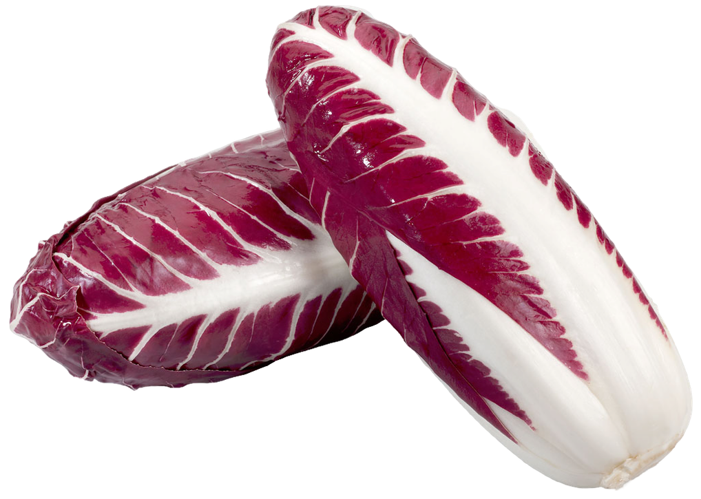 Цикорий салат красный