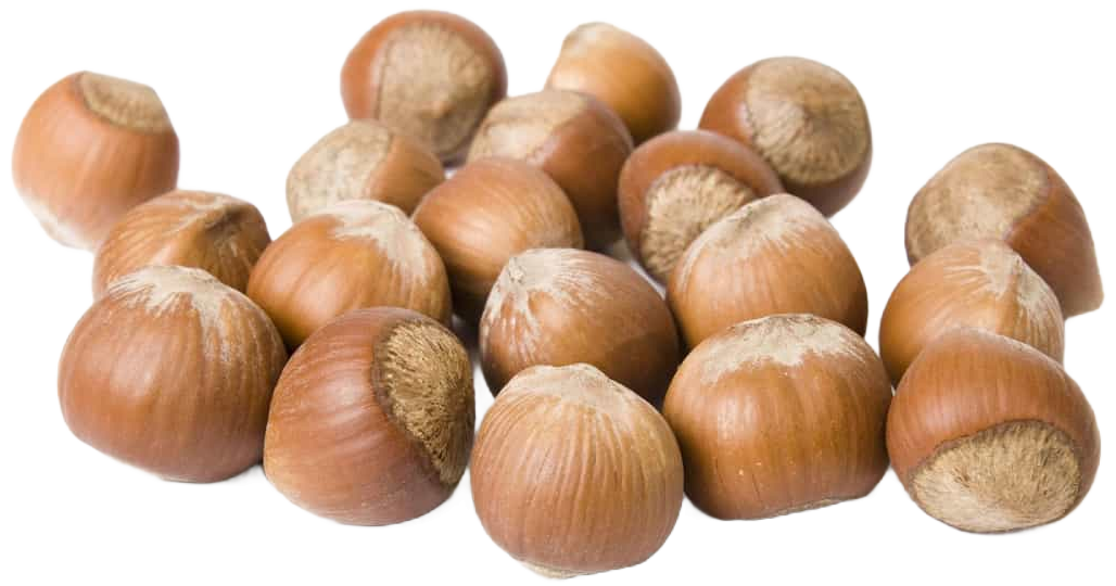 Фундук в скорлупе