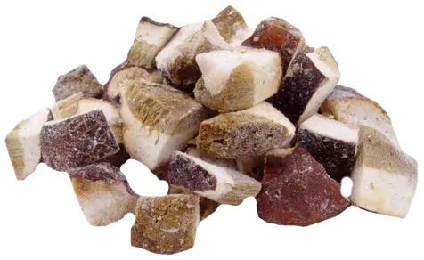 Грибы белые