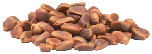 Кедровый орех в скорлупе