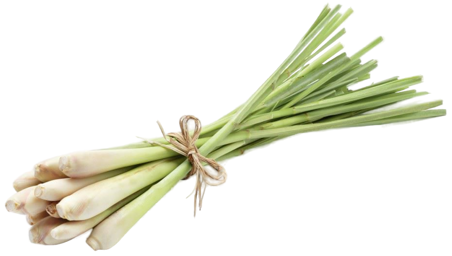 Лемонграсс