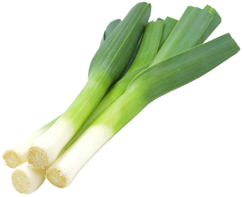 Лук-порей