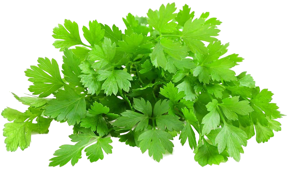 Зелень и салаты