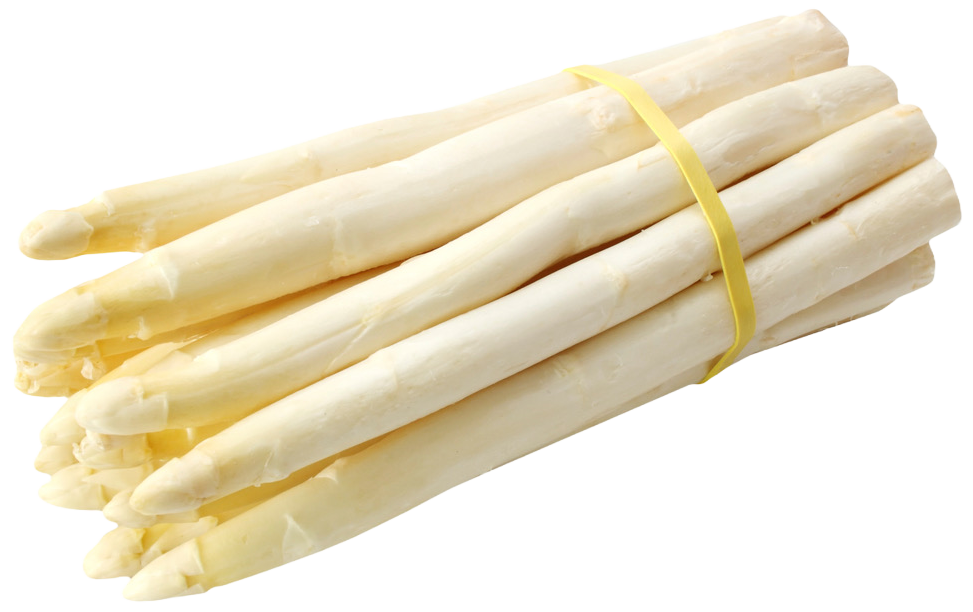 Спаржа белая