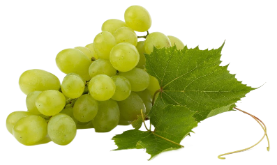 Виноград