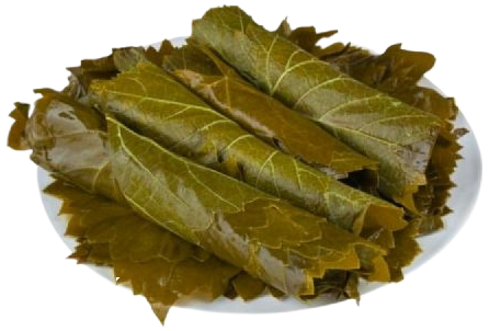 Виноградный лист